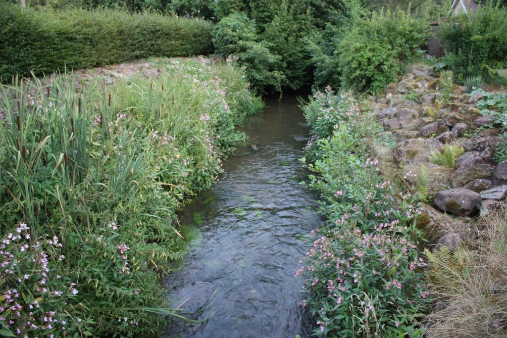 Gite Du Moulin Uhrwiller Kültér fotó